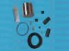 AUTOFREN SEINSA D41188C Repair Kit, brake caliper